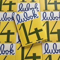 Vorderes Coverbild Lubok 14