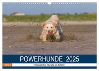 Vorderes Coverbild POWERHUNDE 2025 (Wandkalender 2025 DIN A3 quer), CALVENDO Monatskalender