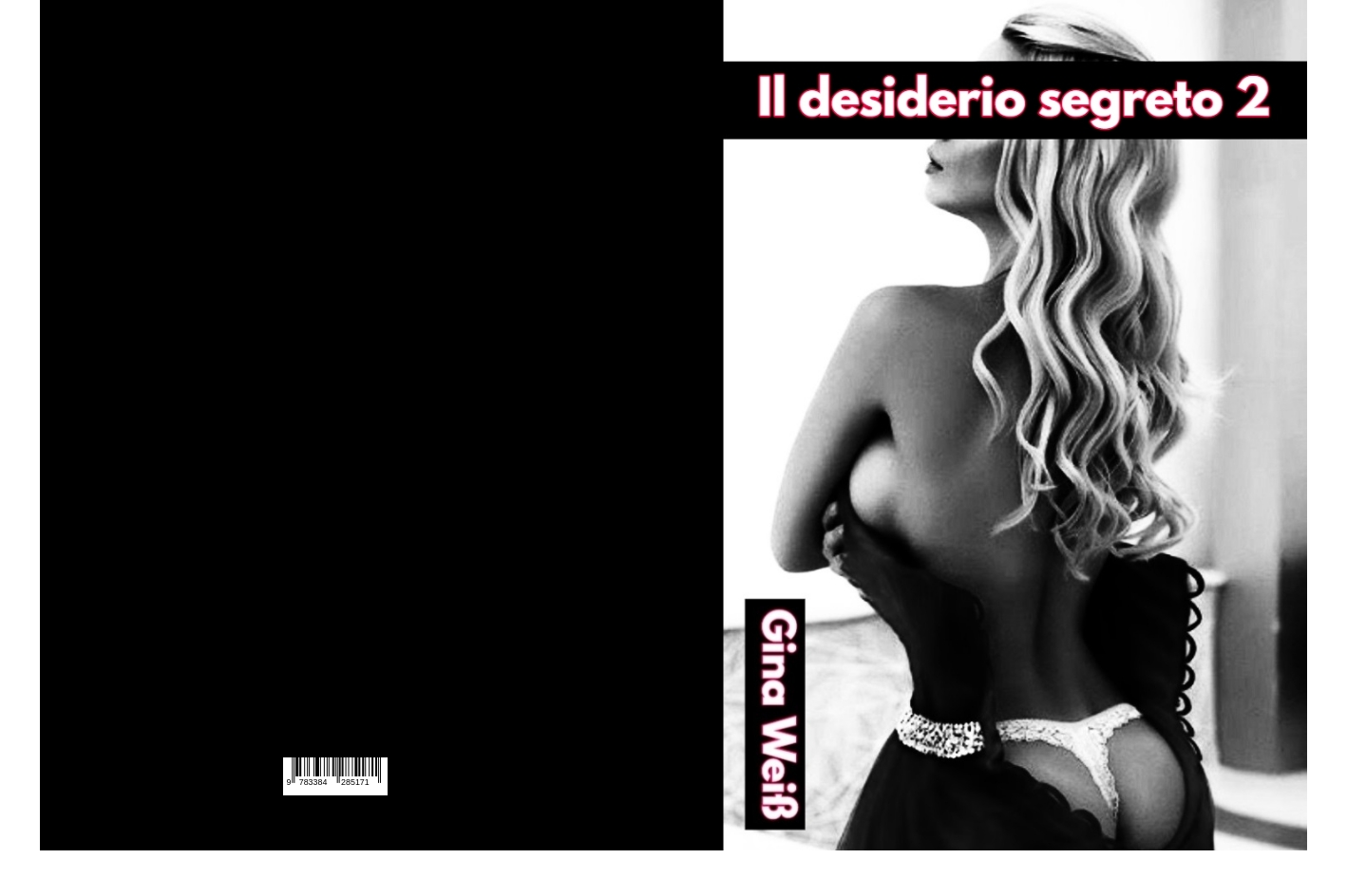 Gesamtes Coverbild Il desiderio segreto 2