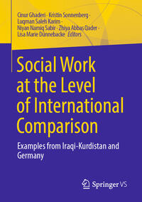 Vorderes Coverbild Social Work at the Level of International Comparison