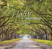 Vorderes Coverbild Natur Impressionen 2025