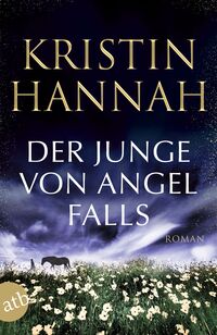 Vorderes Coverbild Der Junge von Angel Falls
