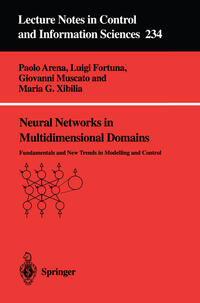 Vorderes Coverbild Neural Networks in Multidimensional Domains