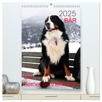 Vorderes Coverbild BÄR - Der Berner Sennenhund (hochwertiger Premium Wandkalender 2025 DIN A2 hoch), Kunstdruck in Hochglanz