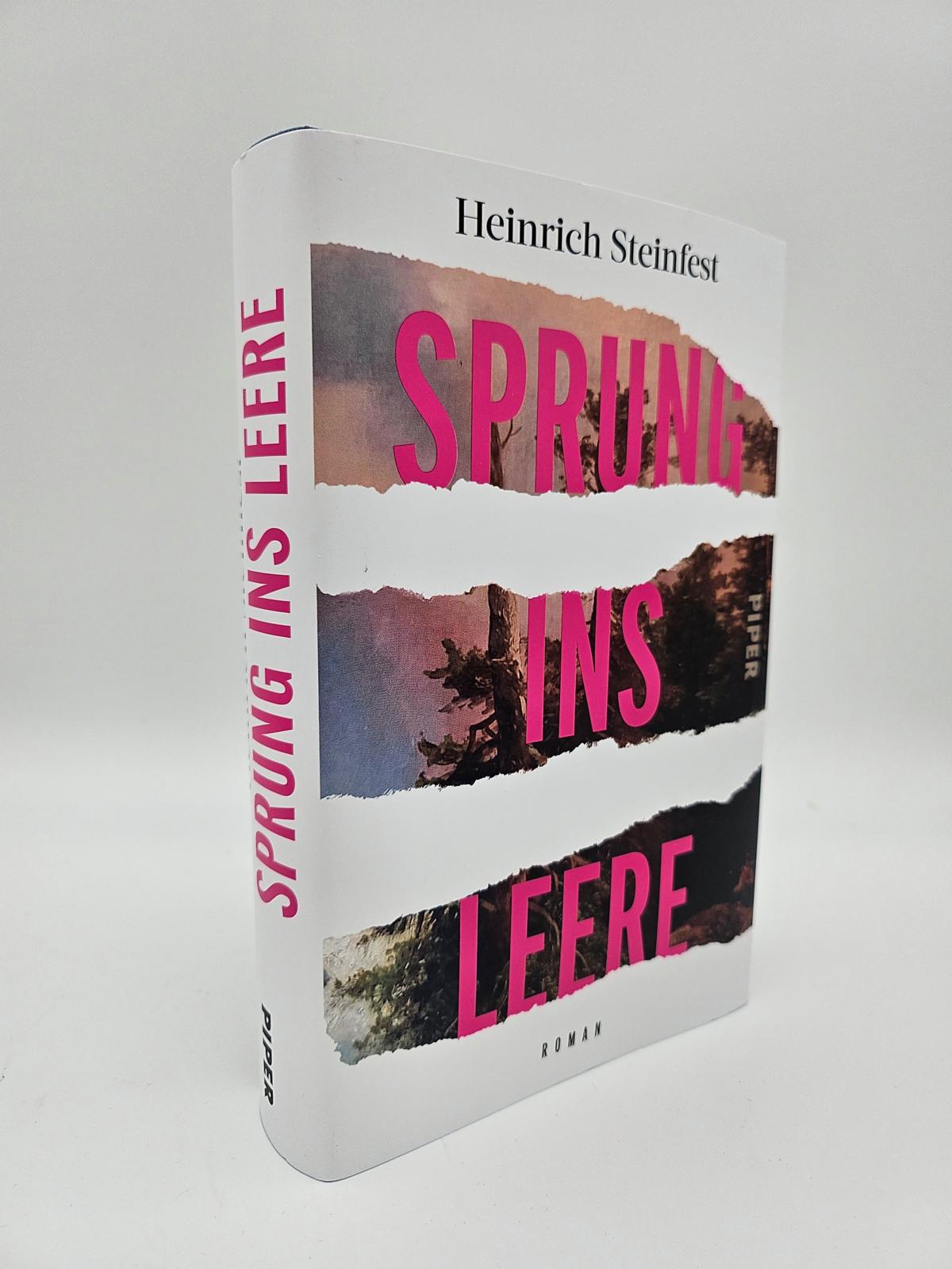 Beispielinhalt (Bild) Sprung ins Leere