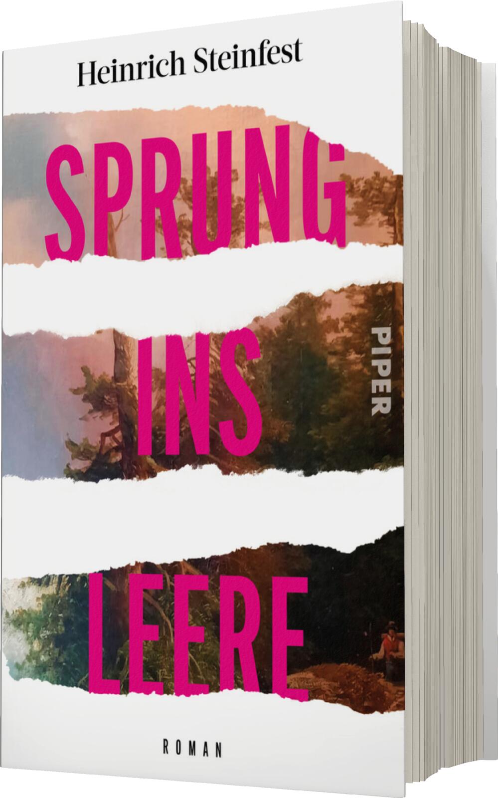 Anderes Coverbild Sprung ins Leere