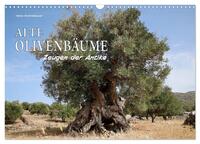 Vorderes Coverbild ALTE OLIVENBÄUME Zeugen der Antike (Wandkalender 2026 DIN A3 quer), CALVENDO Monatskalender