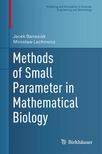 Vorderes Coverbild Methods of Small Parameter in Mathematical Biology
