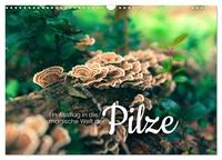 Vorderes Coverbild Ein Ausflug in die magische Welt der Pilze (Wandkalender 2025 DIN A3 quer), CALVENDO Monatskalender