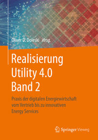 Vorderes Coverbild Realisierung Utility 4.0 Band 2