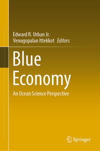 Vorderes Coverbild Blue Economy