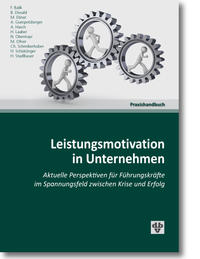 Vorderes Coverbild Leistungsmotivation in Unternehmen