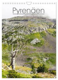 Vorderes Coverbild Pyrenäen - Spanien und Frankreich (Wandkalender 2025 DIN A4 hoch), CALVENDO Monatskalender
