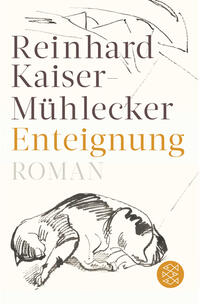 Vorderes Coverbild Enteignung