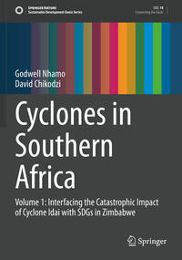 Vorderes Coverbild Cyclones in Southern Africa