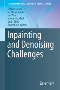 Vorderes Coverbild Inpainting and Denoising Challenges
