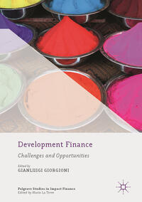 Vorderes Coverbild Development Finance