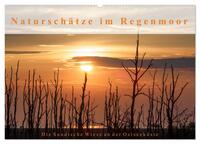 Vorderes Coverbild Naturschätze im Regenmoor - Die Sundische Wiese an der Ostseeküste (Wandkalender 2025 DIN A2 quer), CALVENDO Monatskalender