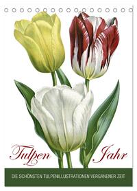 Vorderes Coverbild Tulpen - Jahr (Tischkalender 2026 DIN A5 hoch), CALVENDO Monatskalender