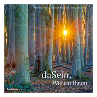 Vorderes Coverbild daSein. Wie ein Baum