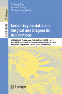 Vorderes Coverbild Lesion Segmentation in Surgical and Diagnostic Applications