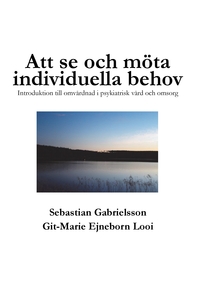 Vorderes Coverbild Att se och möta individuella behov