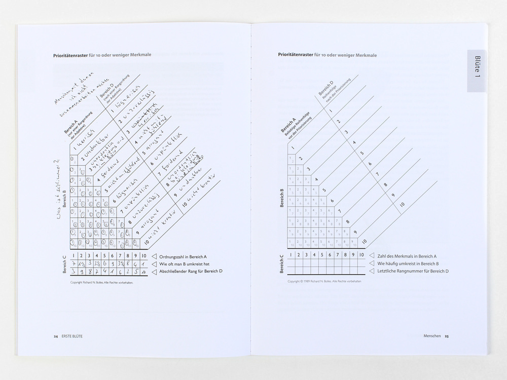 Beispielinhalt (Bild) Durchstarten zum Traumjob - Das Workbook