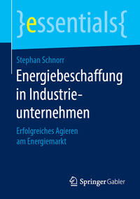 Vorderes Coverbild Energiebeschaffung in Industrieunternehmen