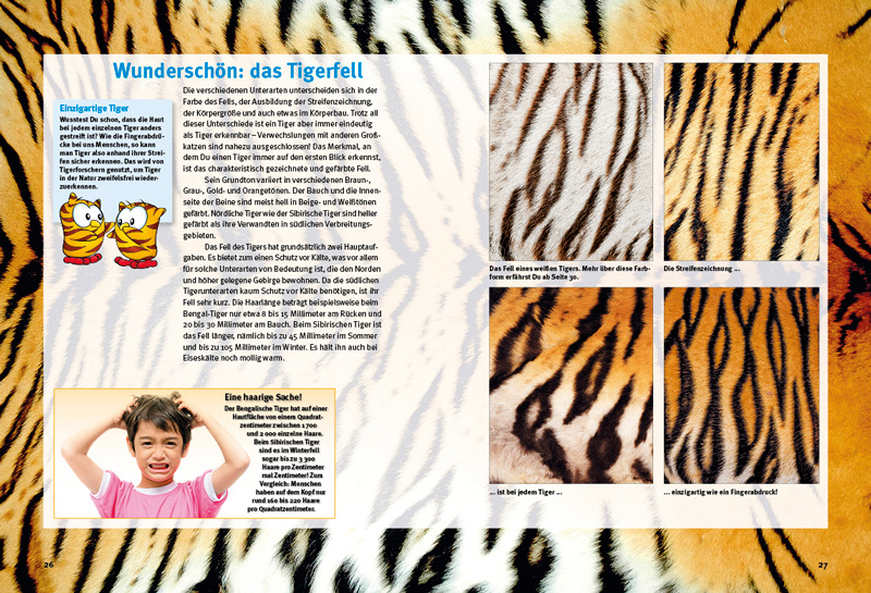 Beispielinhalt (Bild) Entdecke die Tiger