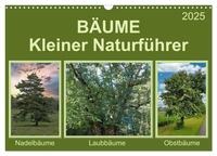 Vorderes Coverbild Bäume Kleiner Naturführer (Wandkalender 2025 DIN A3 quer), CALVENDO Monatskalender