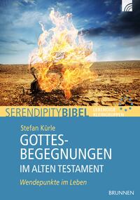 Vorderes Coverbild Gottesbegegnungen im Alten Testament