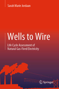 Vorderes Coverbild Wells to Wire