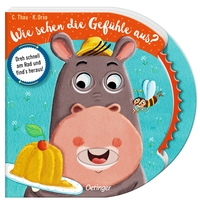 Vorderes Coverbild Wie sehen die Gefühle aus?