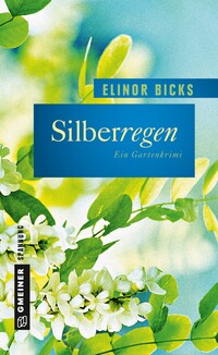 Vorderes Coverbild Silberregen