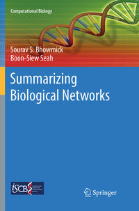 Vorderes Coverbild Summarizing Biological Networks