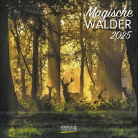 Vorderes Coverbild Magische Wälder 2025