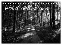 Vorderes Coverbild Wald und Bäume (Tischkalender 2025 DIN A5 quer), CALVENDO Monatskalender