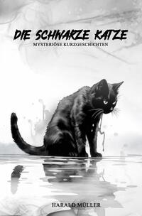 Vorderes Coverbild Die schwarze Katze - Mysteriöse Kurzgeschichten