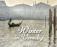 Vorderes Coverbild Winter in Venedig