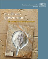 Vorderes Coverbild Zu Stein geworden