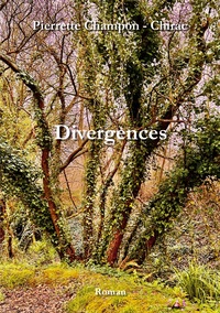 Vorderes Coverbild Divergences