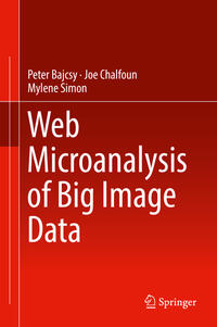 Vorderes Coverbild Web Microanalysis of Big Image Data