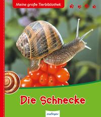 Vorderes Coverbild Meine große Tierbibliothek: Die Schnecke