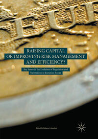 Vorderes Coverbild Raising Capital or Improving Risk Management and Efficiency?