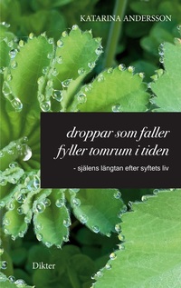 Vorderes Coverbild Droppar som faller fyller tomrum i tiden