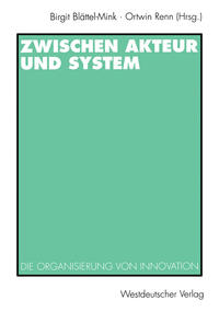 Vorderes Coverbild Zwischen Akteur und System