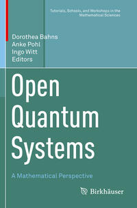 Vorderes Coverbild Open Quantum Systems