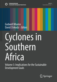 Vorderes Coverbild Cyclones in Southern Africa