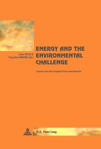 Vorderes Coverbild Energy and the Environmental Challenge