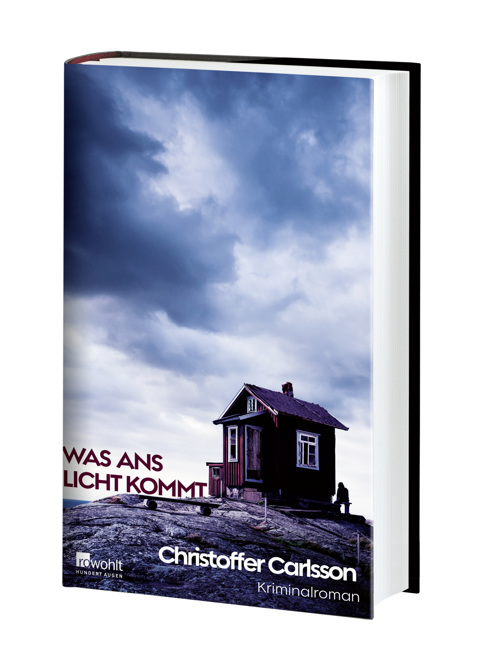 Anderes Coverbild Was ans Licht kommt